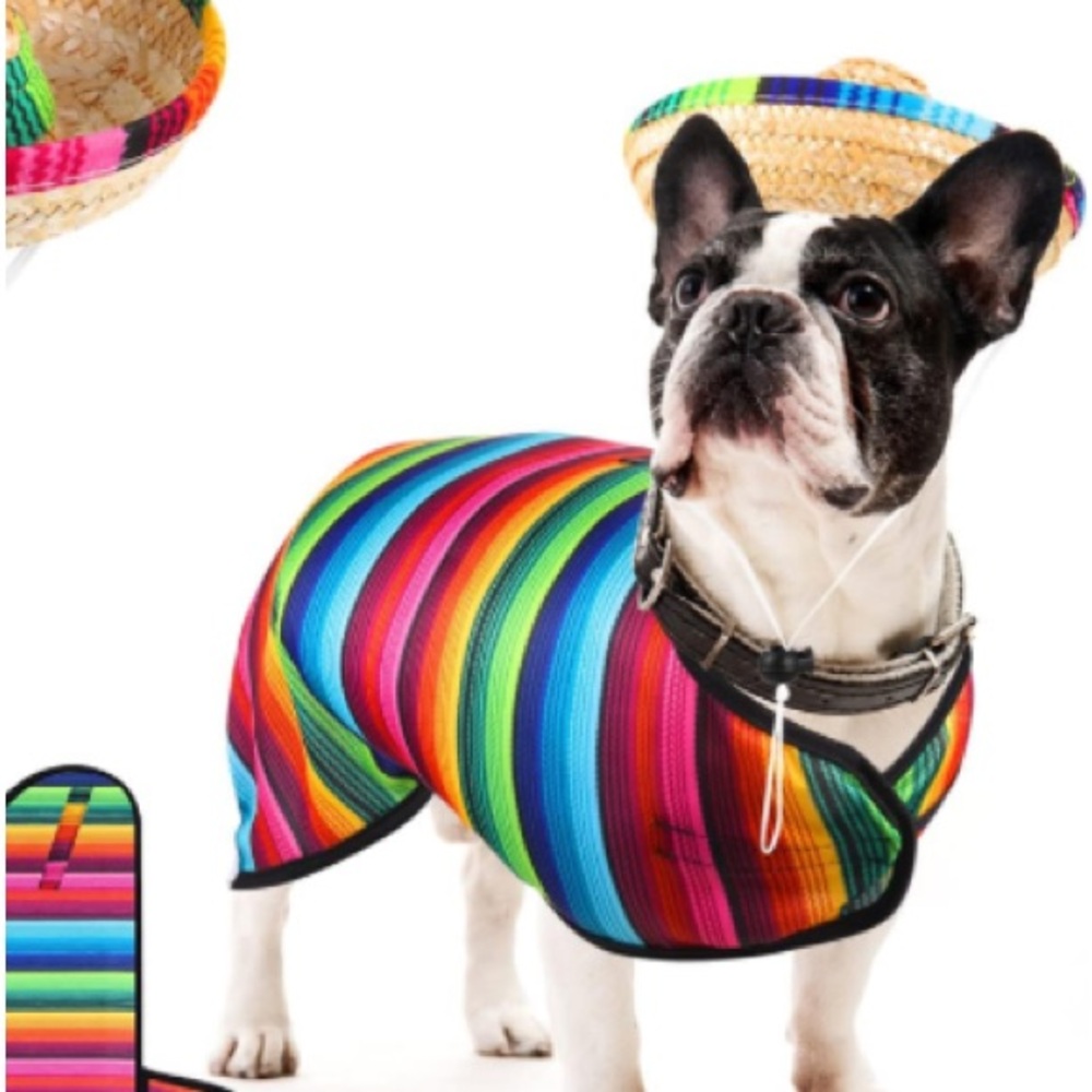 New Cinco De Mayo Comes w Sombrero Serape/Poncho Multicolor L/XL